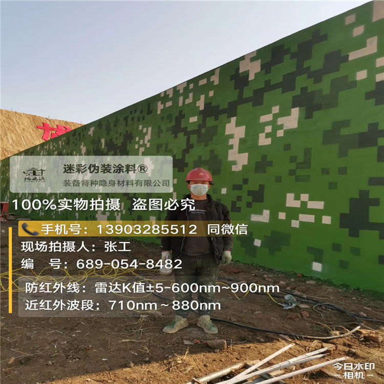 嘉兴外墙迷彩漆施工注意事项(通用 + 数码专属)