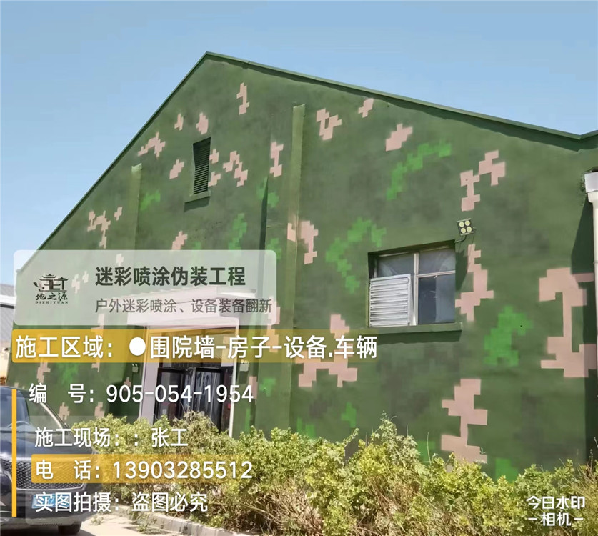 嘉兴外墙数码迷彩漆施工报价清单（100㎡标准墙面测算）